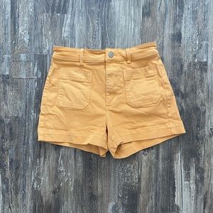 Everlane Cotton Shorts